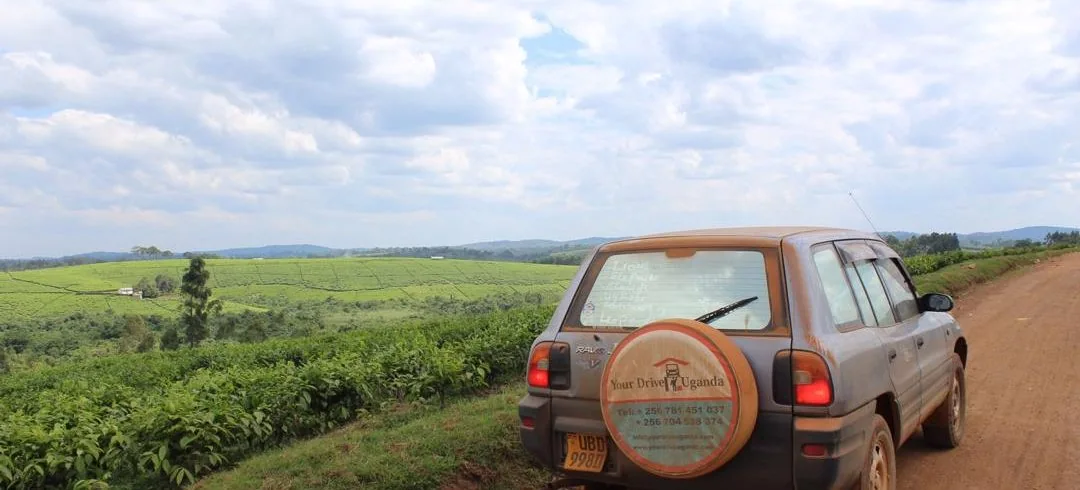 Car Hire Offers & Discounts in Uganda