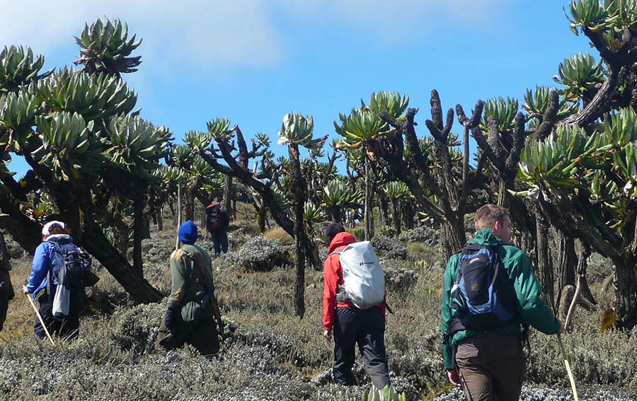 Car Hire to Mount Elgon National Park