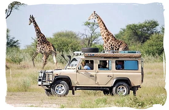 The Ultimate Guide to Choosing the Perfect Rental Car for Your Uganda Trip