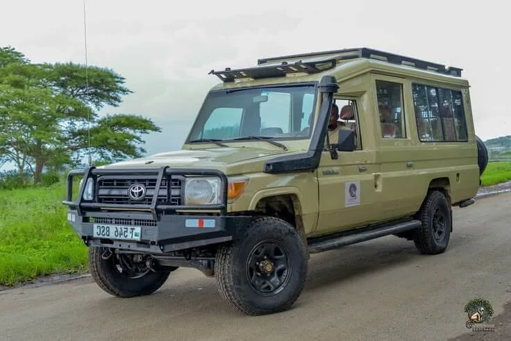 Uganda Self Drive Safari: Complete Travel Guide — illustrative travel photograph