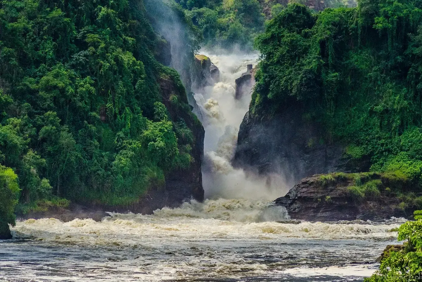 Car Hire to Murchison Falls National Park