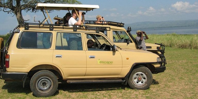 4 Days Car rental for Gorilla Trek & Lake Mburo Wildlife Tour