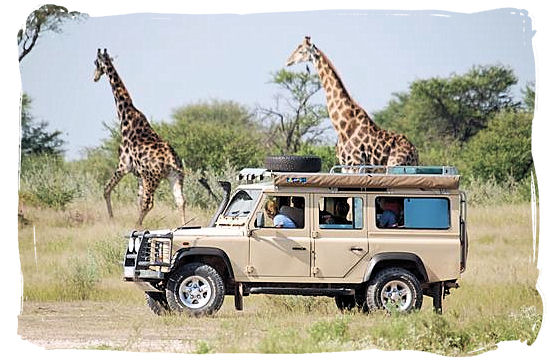A Guide to Choosing the Perfect Car for Your Ugandan Safari Adventure